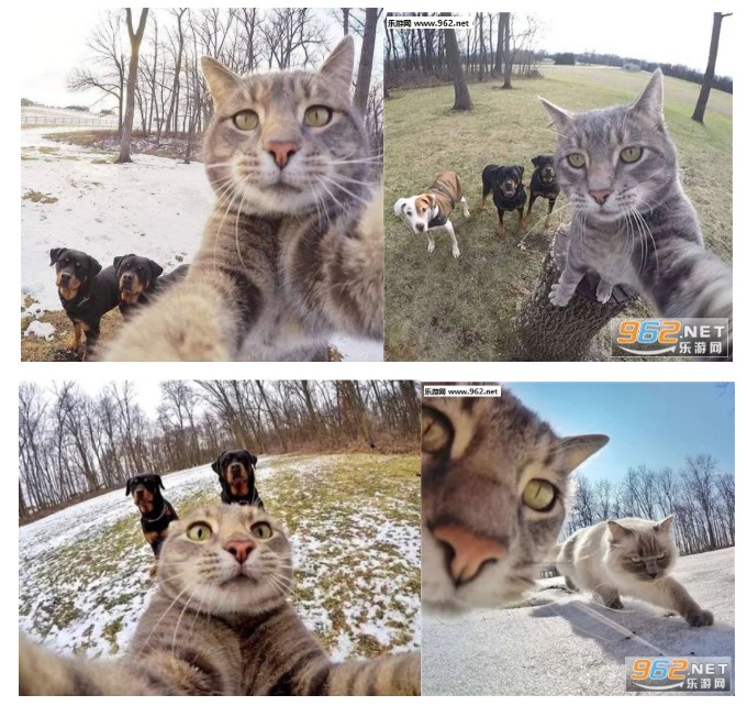 如何购买适合自己的相机？绝不含沙射影！我直接告诉你。