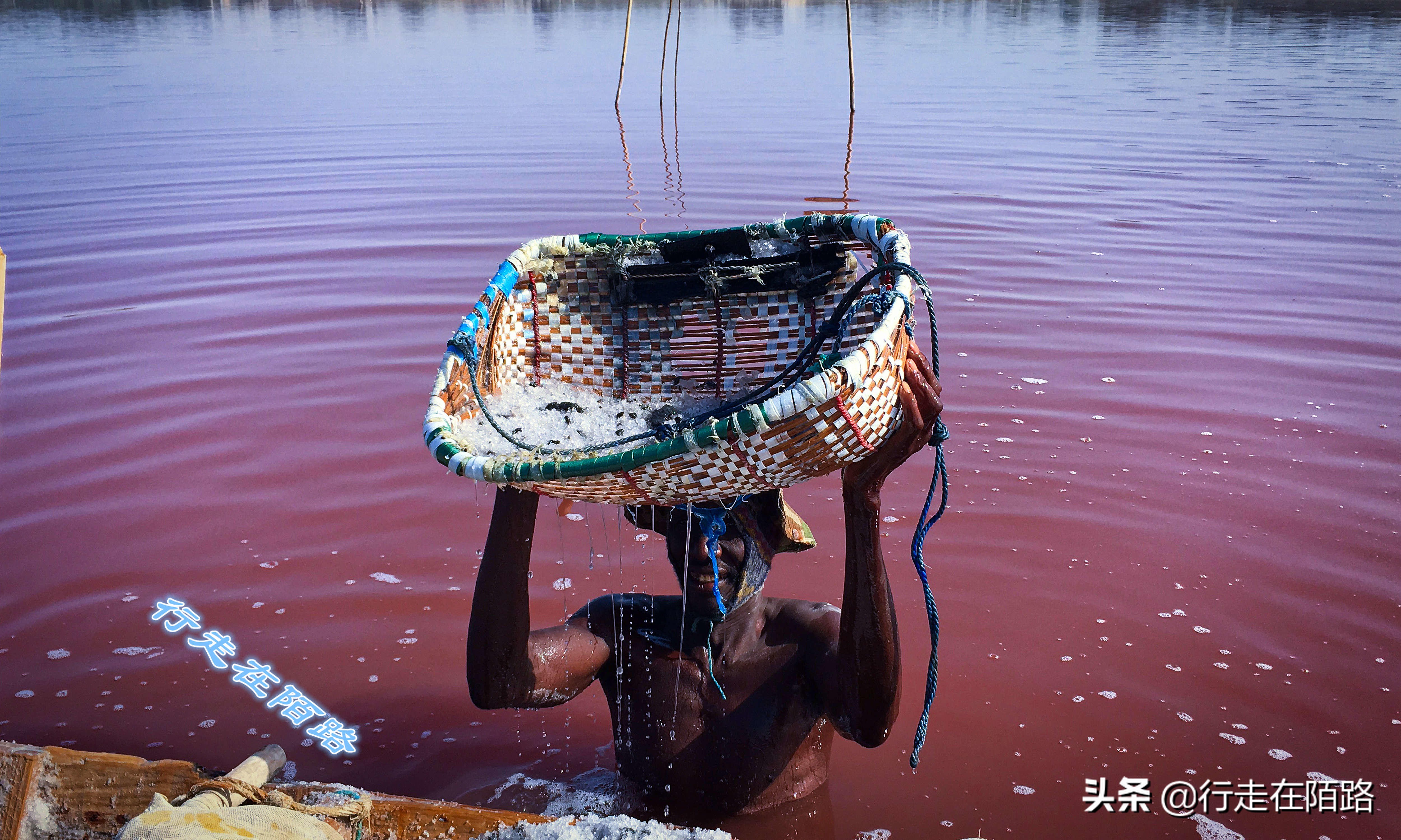 非洲死海：湖深一米采盐直接捞，每升湖水含盐380克