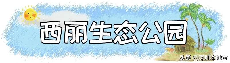 深圳最值得免费去的十大景点,深圳有哪些地方是免费景点