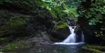 成都秋老虎发威的地方,成都秋老虎最新视频