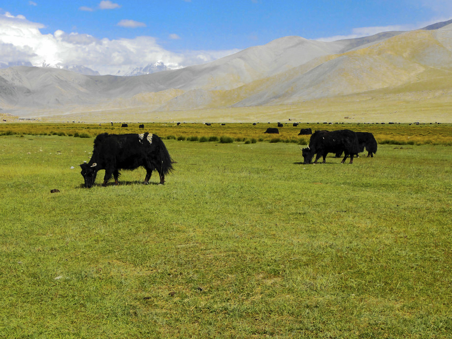 *疆新**印象·帕米尔高原圣洁的雪山-慕士塔格峰