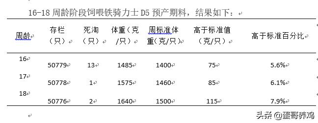 鸡场养雏鸡怎么增加体重,雏鸡怎么管理最健康