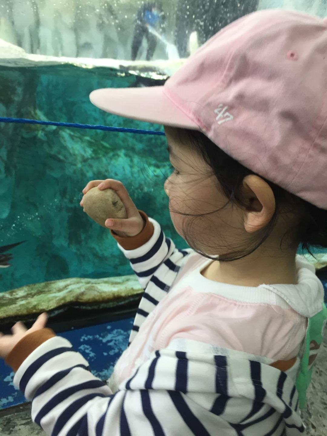 珠海长隆海洋王国附近美食,珠海长隆海洋王国官网预约