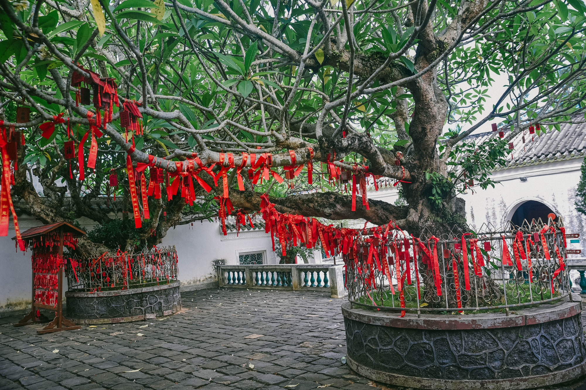 海南适合养老的城,海口哪个区宜居