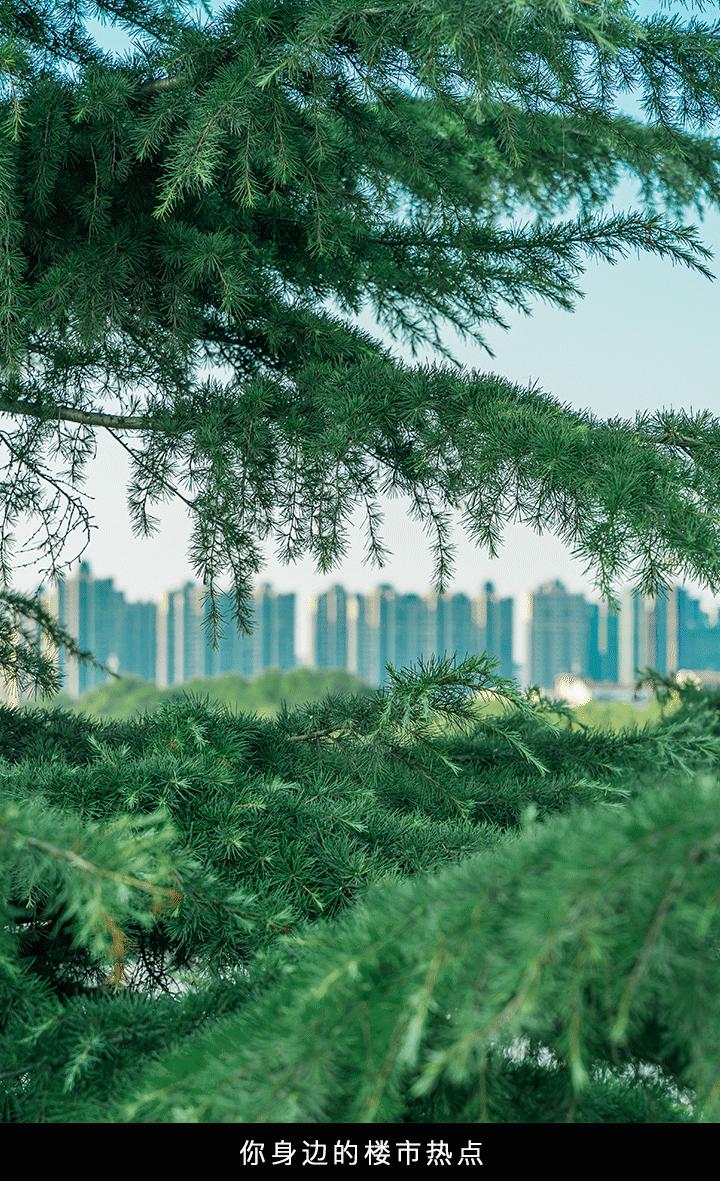 湖北荆州新增公园,荆州新修几个公园