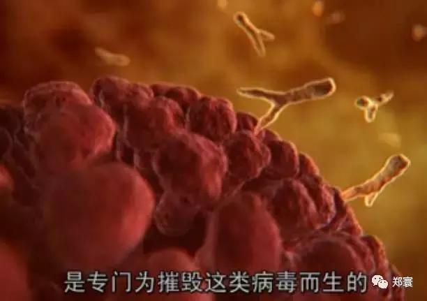 记得！感冒时一定要喂奶