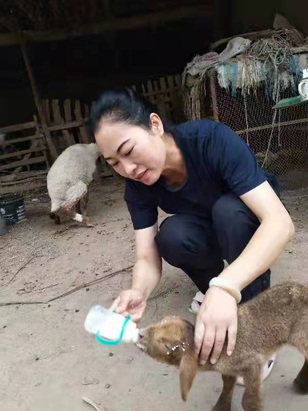 刘远红,刘远红视频