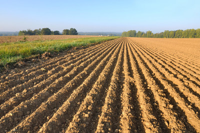 一亩等于多少平方公里怎么换算的,一亩有多少平方米怎么算