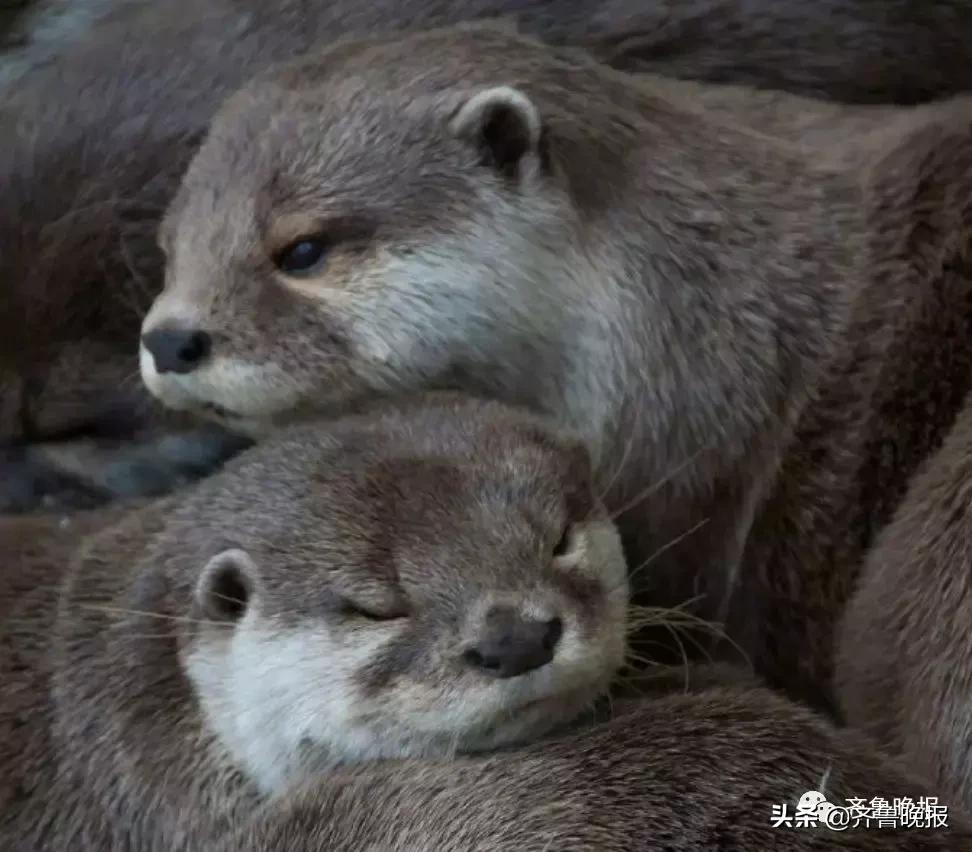 做梦被人*拍偷**女子报警，民警调监控发现是真的｜早知道