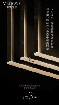 维诺卡夫cwc-280a红酒柜,维诺卡夫红酒柜说明书