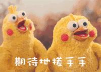 原来大熊猫也喜欢游泳,大熊猫们集体洗澡