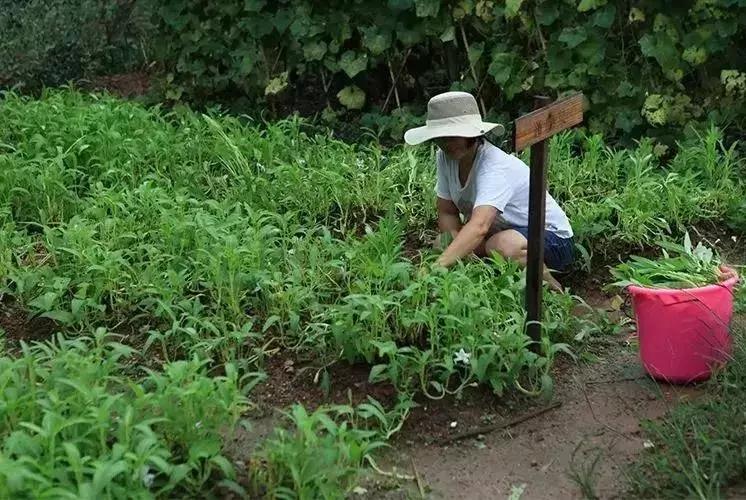 广东附近旅游度假,广东周边度假小镇