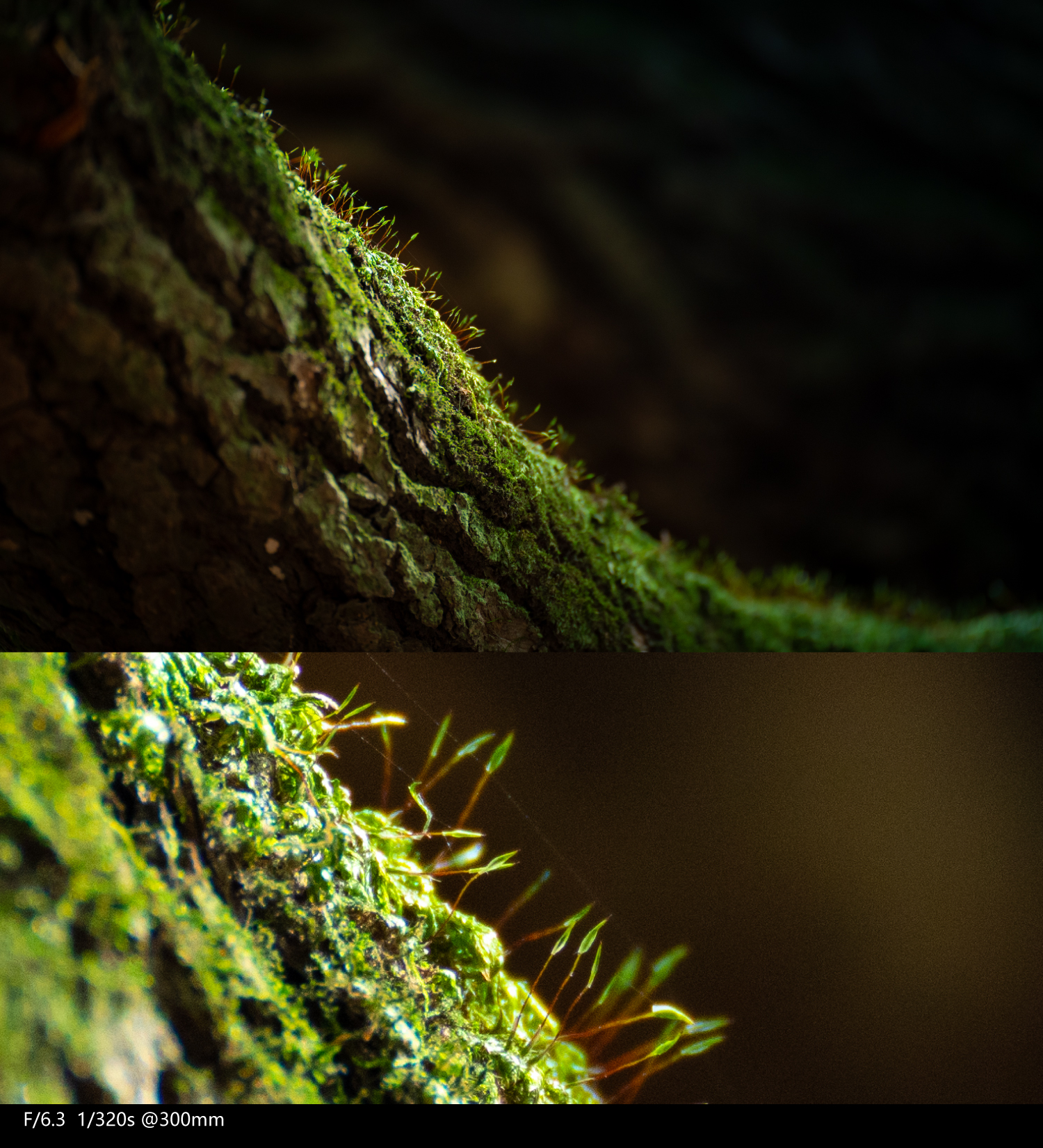 全画幅腾龙70-300,腾龙70-300e卡口