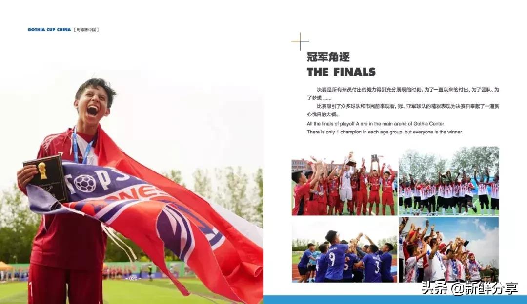 哥德杯世界青少年足球赛,国际青少年足球大赛在哪里举办