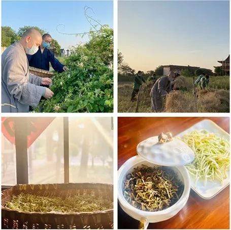 抢抓农时开展农业生产,农民纷纷抢抓春耕生产有利时机