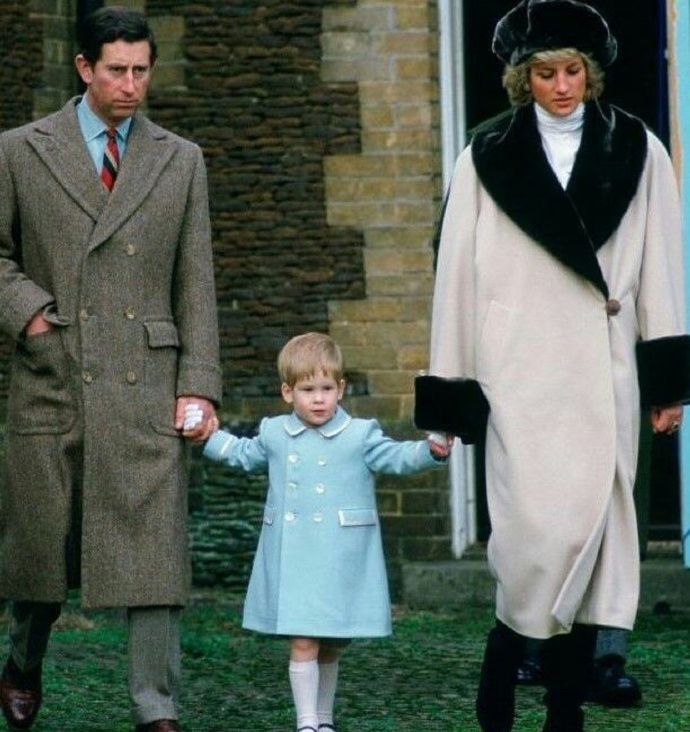 没等来皇冠，71岁的查尔斯王子确诊了，72岁卡米拉检测阴性