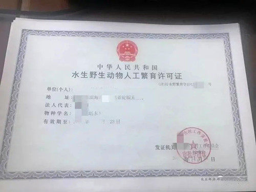 龟鳖养殖场需要办理哪些证件,龟鳖养殖手续