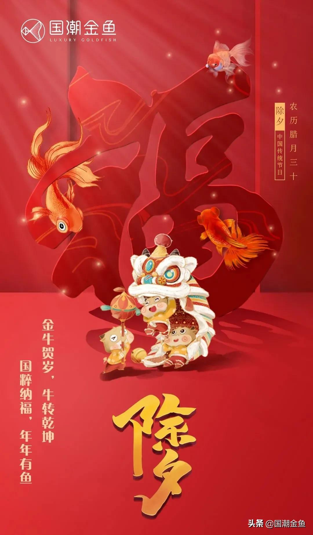 除夕“集五福”!五种福气满满的金鱼,祝您年年有余