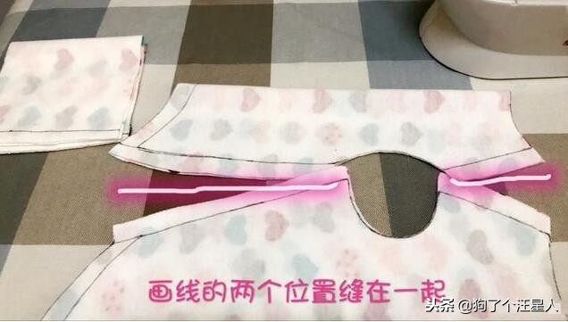 冬季养狗的最佳方法,自制养狗教程