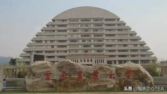 湖南农业大学茶学专业怎么样,广西有哪些高校开设茶学