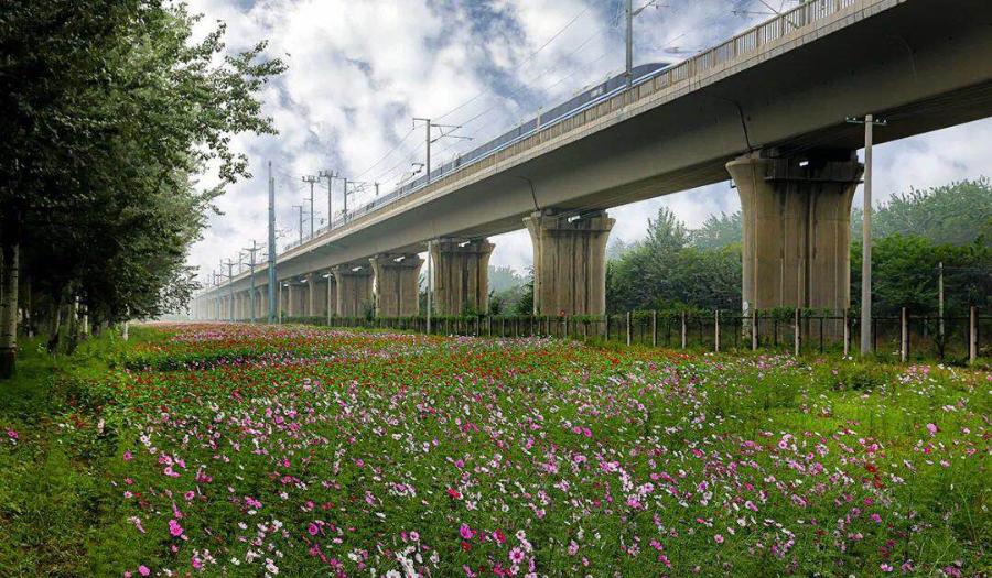 华夏乎!运城兮|一位资深旅游人心中的运城!