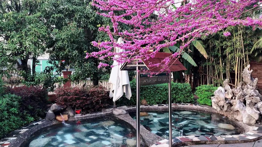 99元温泉套票推荐,99元玩一天的温泉