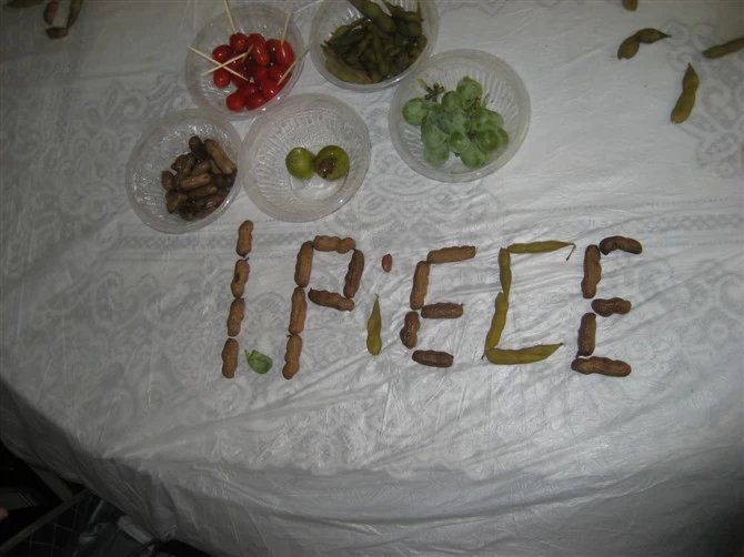 致全体粉丝：OPiece海贼王15周年快乐，未来我们一起守护