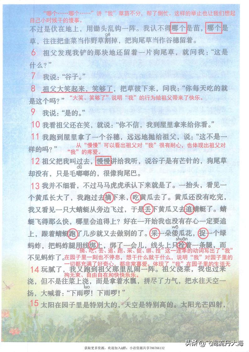五年级下册第二课祖父的园子教案,小学语文五年级第二课祖父的园子