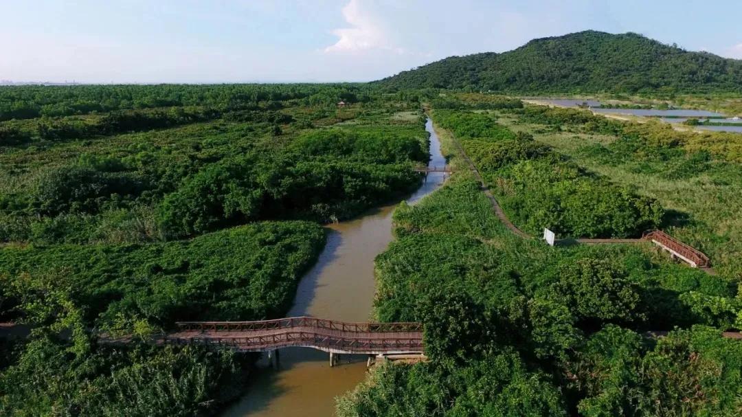 鼓浪屿必去的海岛,珠海坐船去鼓浪屿