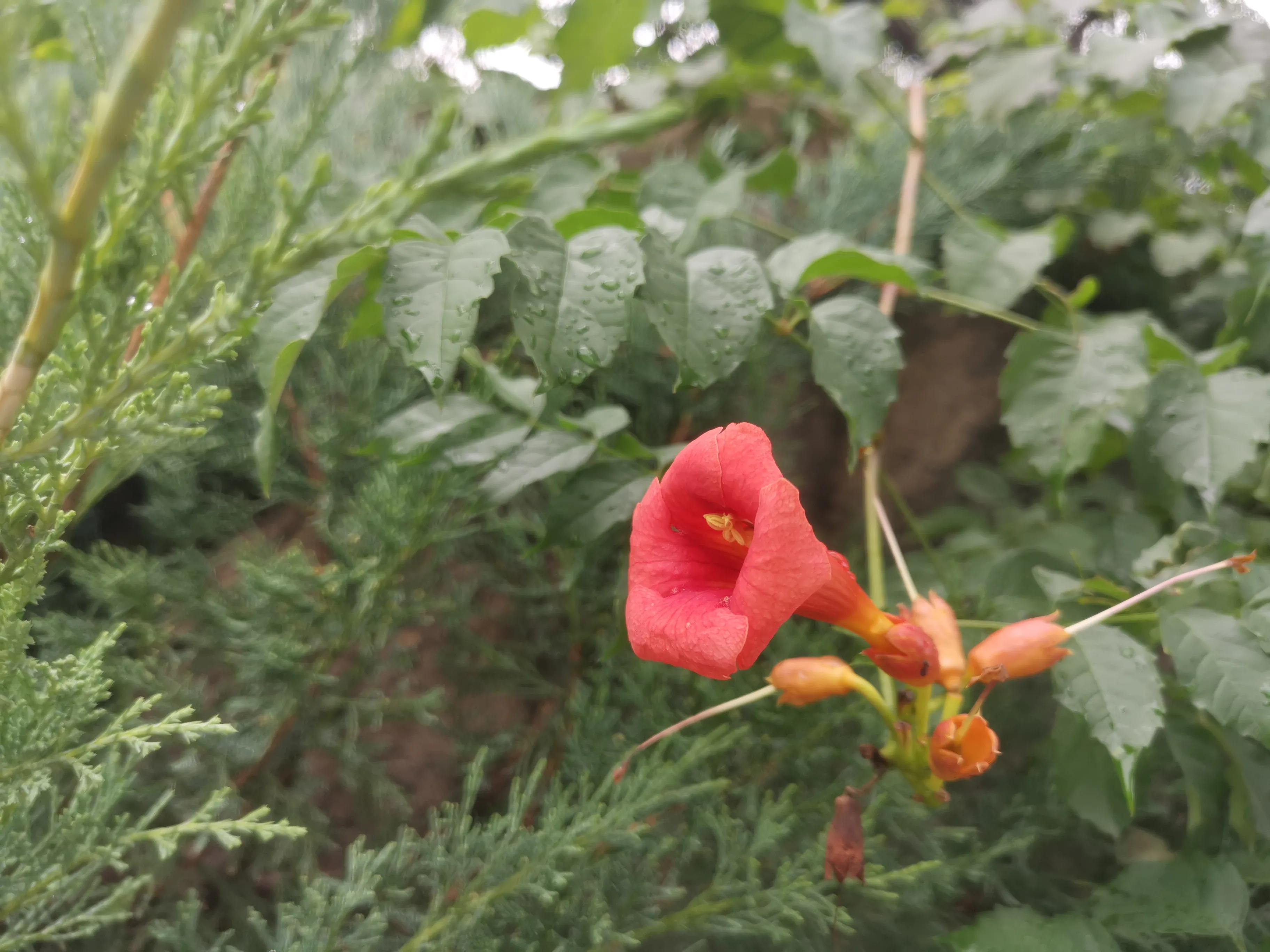 凤山温泉,北京金隅凤山温泉特色