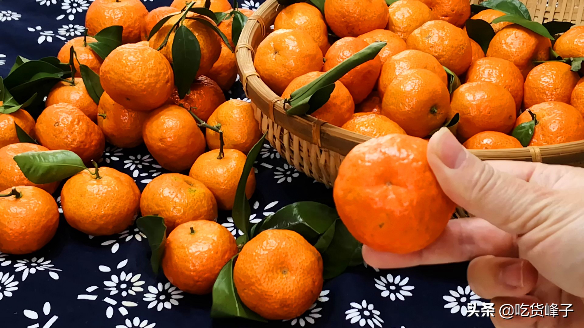 砂糖橘怎么选才是最甜的,买砂糖桔的注意事项