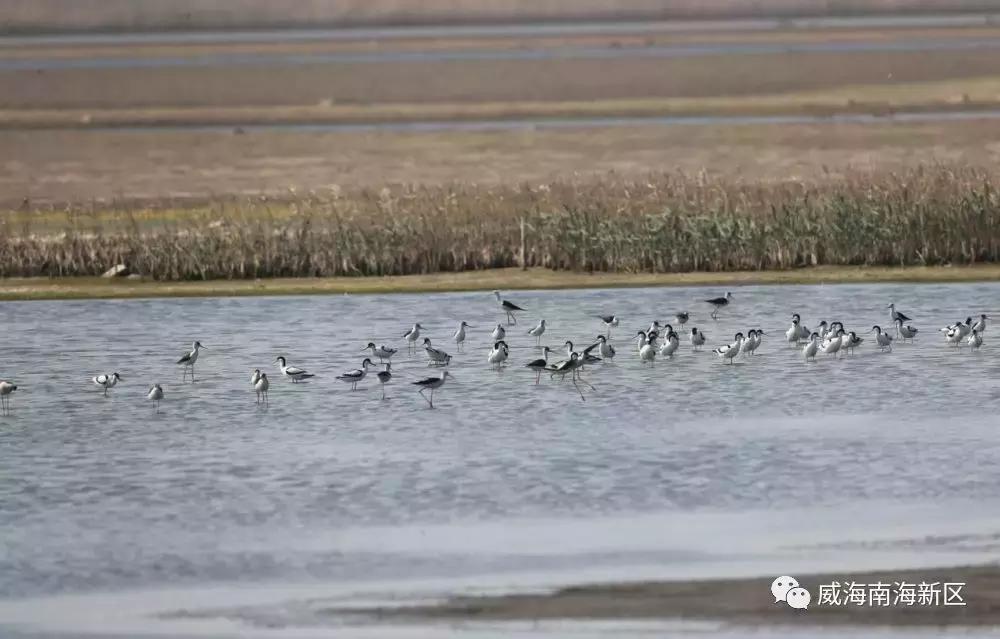 威海南海家园,威海南海新区最具幸福感城市