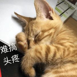 这电视比窗户还大！除了好笑，隐私问题更加引人深思