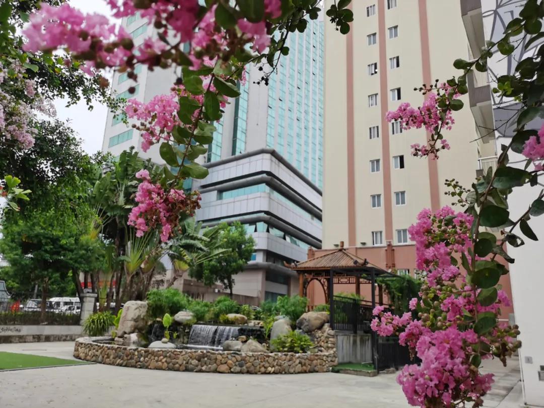 永春县桃溪实验小学三年七班,永春县桃溪实验小学