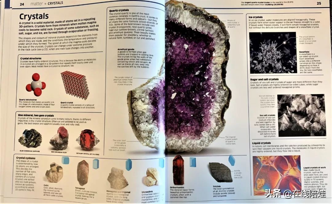dk知识大百科全套,dk知识大百科书金银版