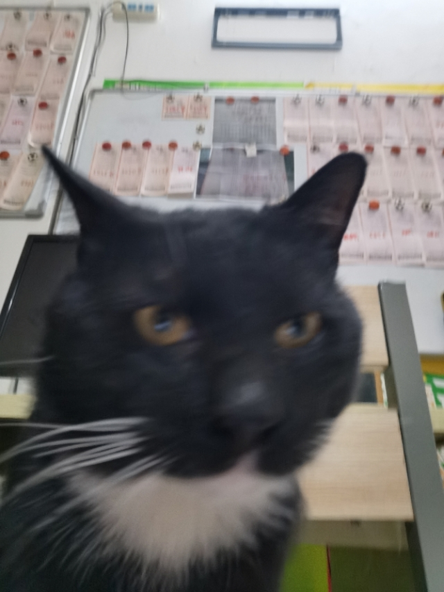 2021年1月29日体彩排列五开奖号码,体彩福彩开奖查询