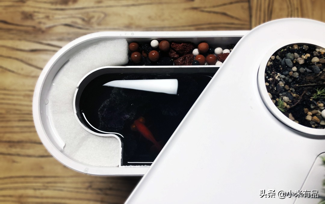 小米两栖生态鱼缸图片,小米生态小鱼缸