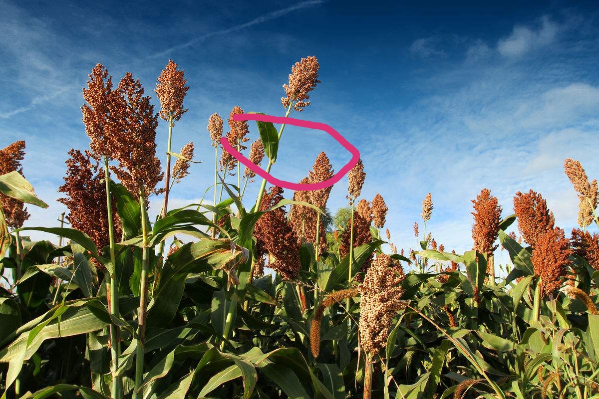 钓友公认十款最好渔具,让无数钓友梦寐以求的10款渔具