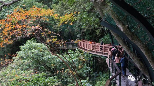 花莲|一人有一家民宿