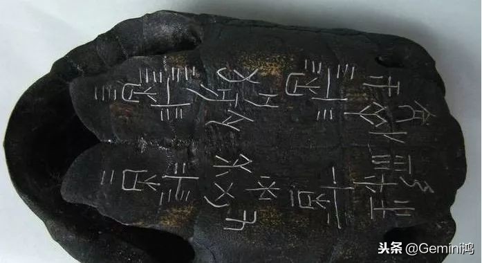 文玩小乌龟,文玩乌龟代表什么