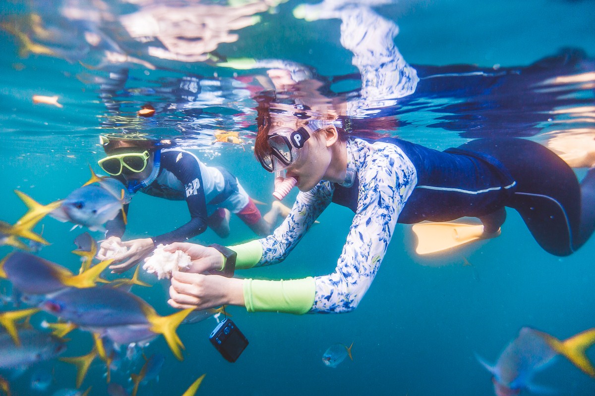 一定是特别的缘分——帕劳,再遇见「周若雪Patty」·上