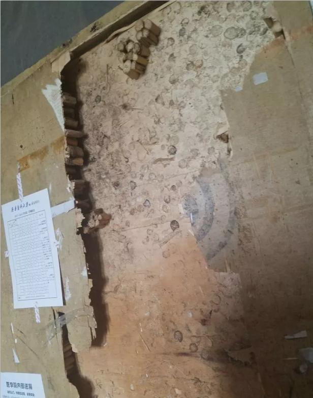 全国大学最差宿舍和最好宿舍对比!人与人的差距怎么就这么大呢?