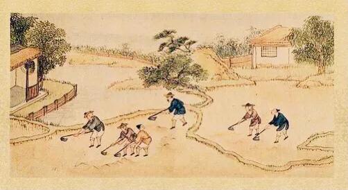 古代奇案寡妇被杀案,古代偷情杀夫案