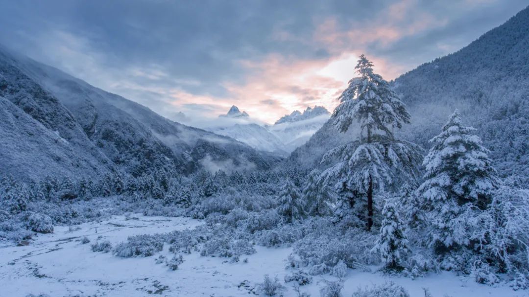 木格措旅游冬季攻略,木格措7月1日免门票否