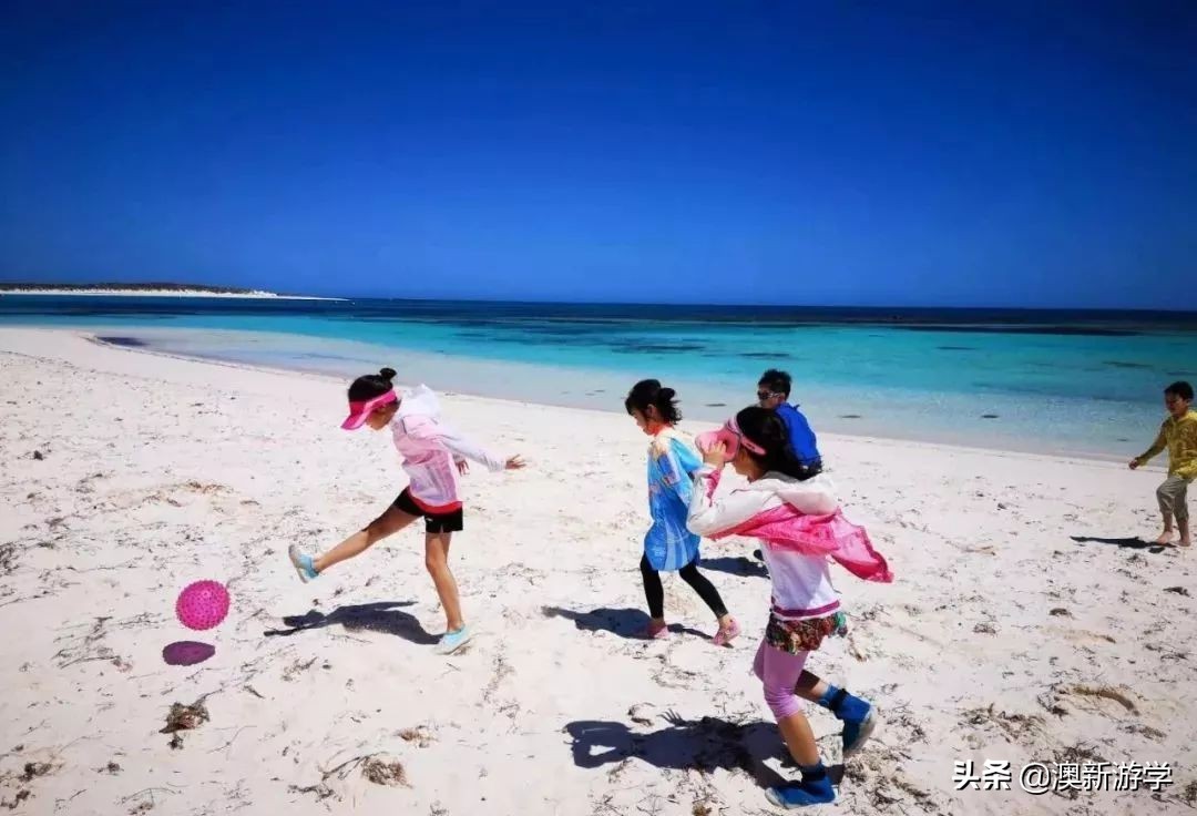 澳洲游学满载而归,澳洲亲子游学日程安排