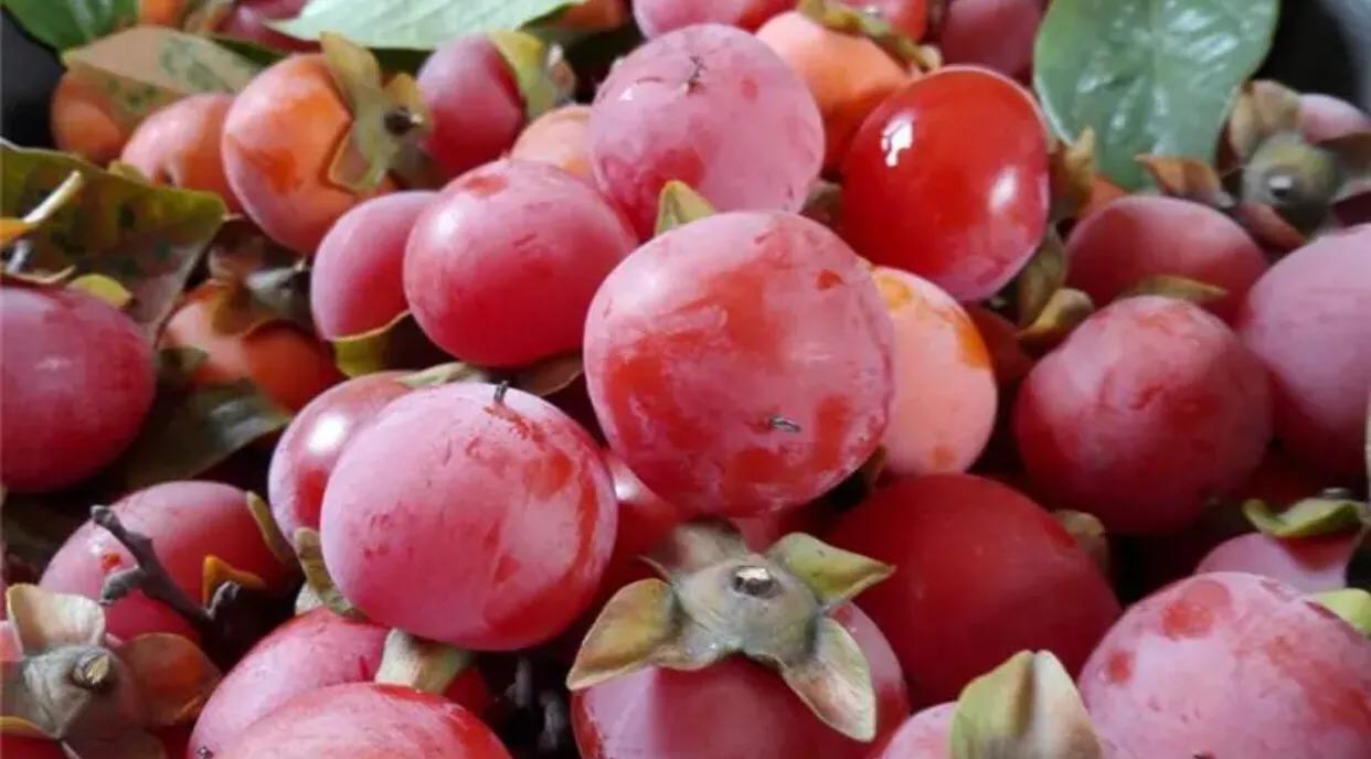 一根吸管促成的网红,果子提前两个月被订购,很多南方人不解