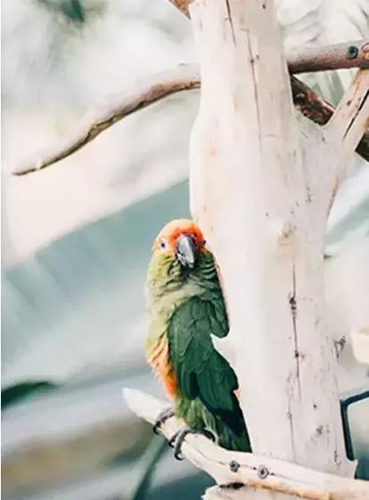 六年级暑假奥数天天练,奥数天天练数学思维