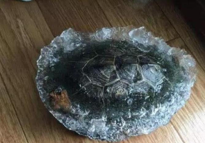 东北的大自然冰箱就是这么强悍,东北人为啥不买冰箱