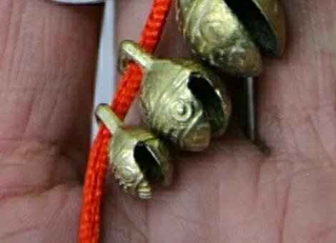 野兔喜欢吃桃树怎么办,野兔总是吃麦苗怎么办