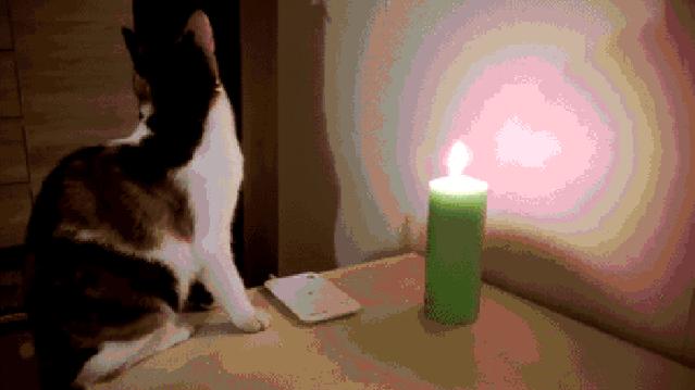 受伤不留疤痕的方法,额头受伤了怎么处理才不留疤痕